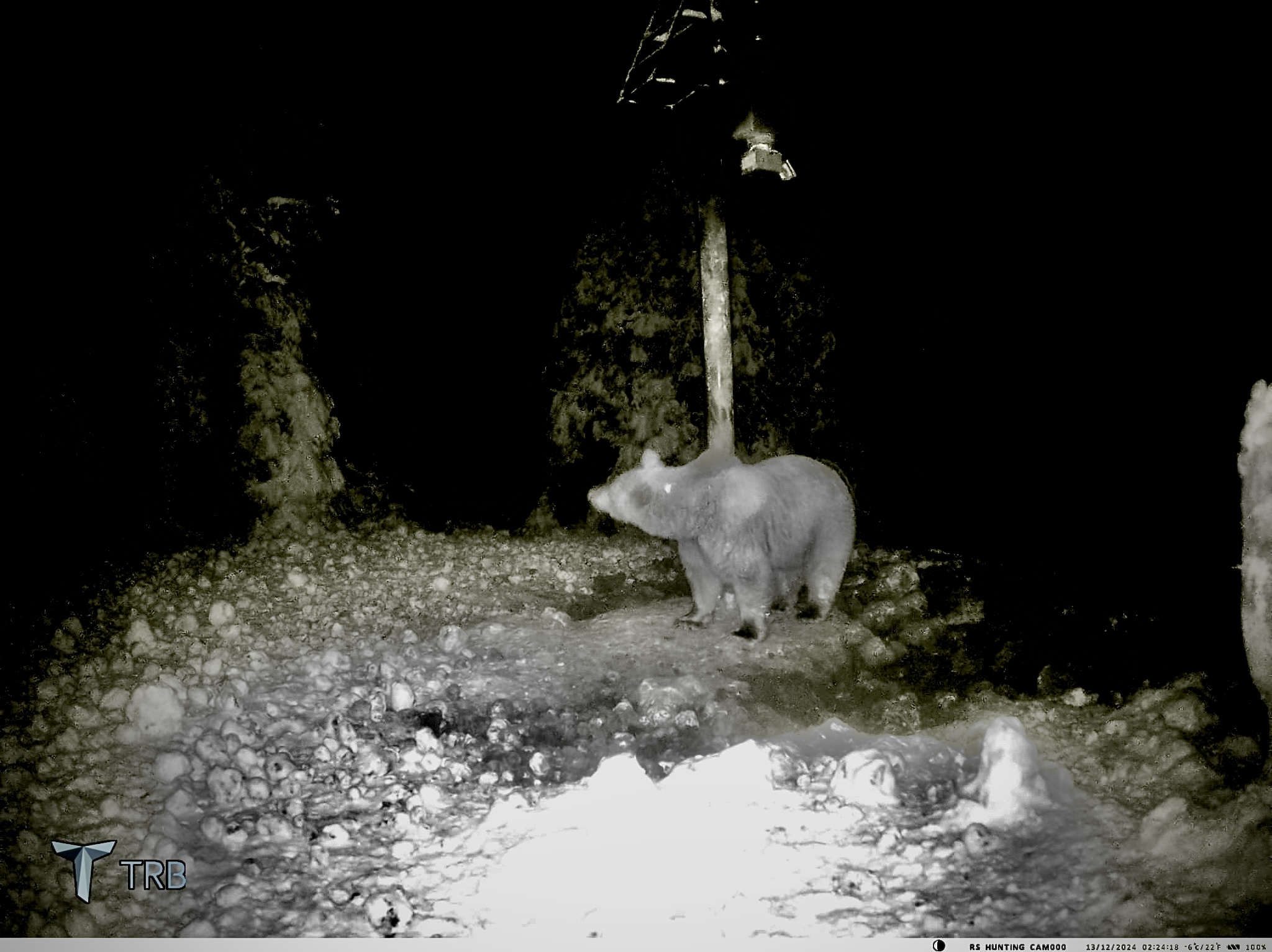 photo-output (11)