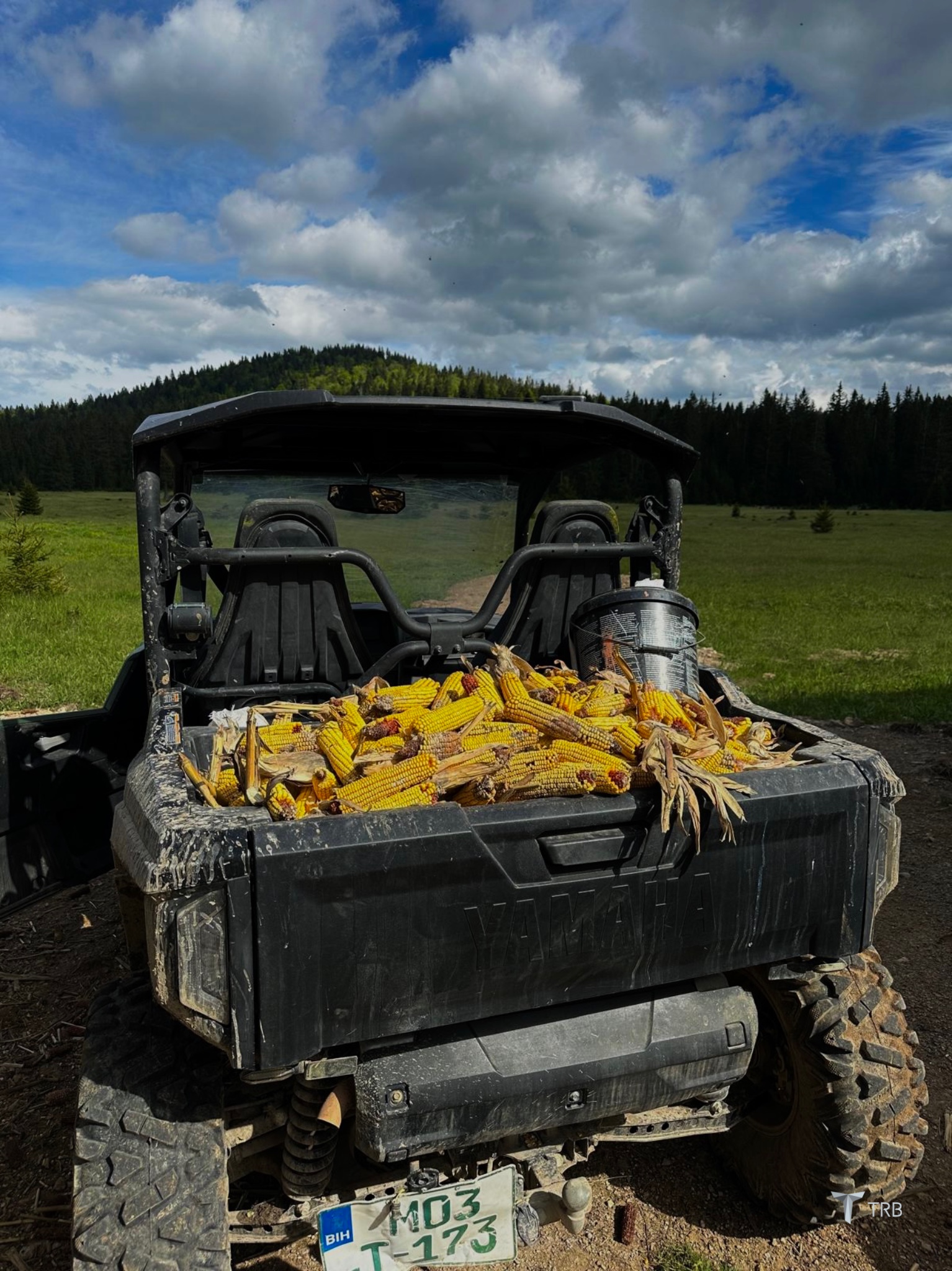 {{brizy_dc_image_alt imageSrc=