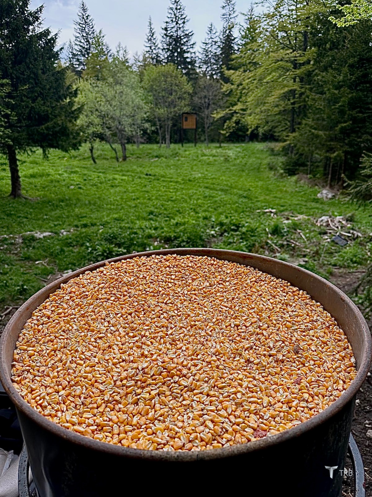 {{brizy_dc_image_alt imageSrc=