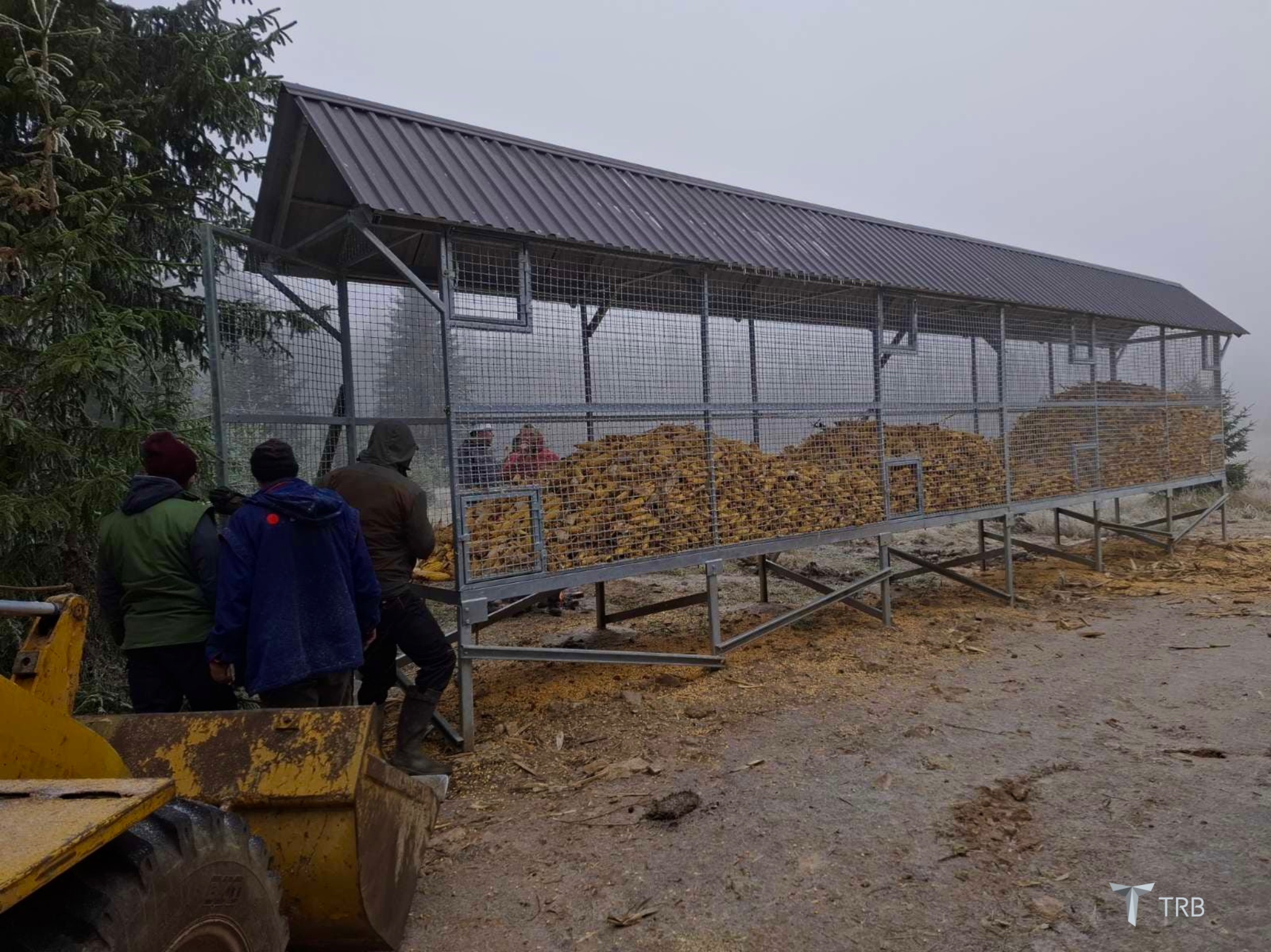 {{brizy_dc_image_alt imageSrc=