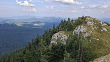 IMG-20241126-WA0050_result